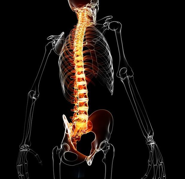 Albuquerque spinal cord accident