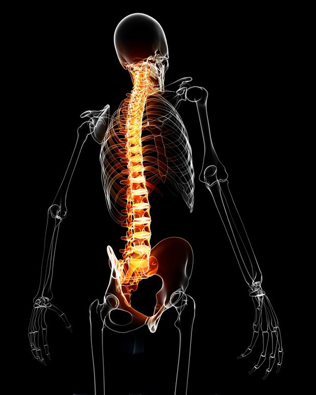 Albuquerque spinal cord accident