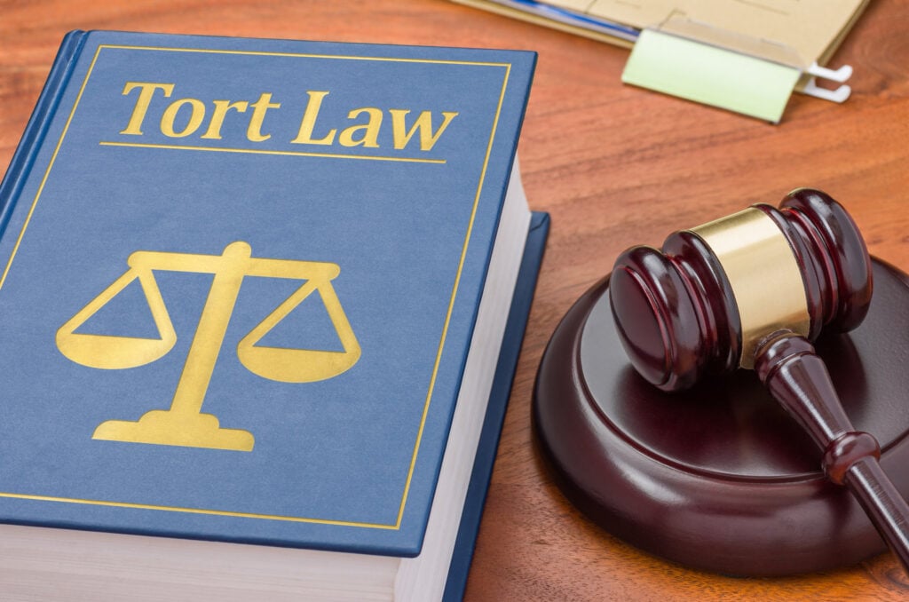 what is a tort lawsuit