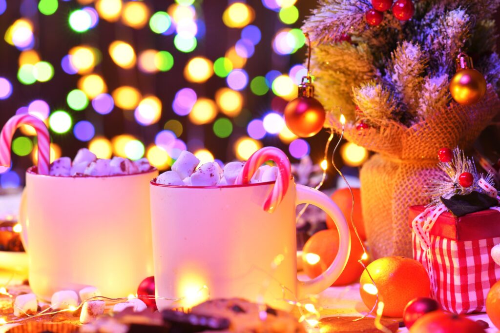2024 Holiday Safety