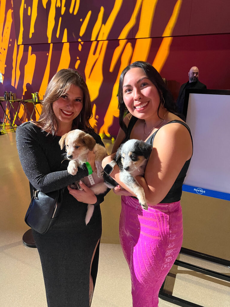 Humane Indiana Gala 2024 with puppies