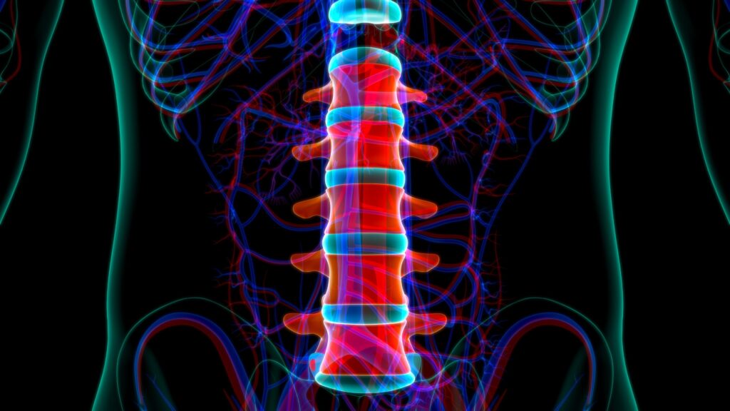 Chandler Spinal Injury Lawyer