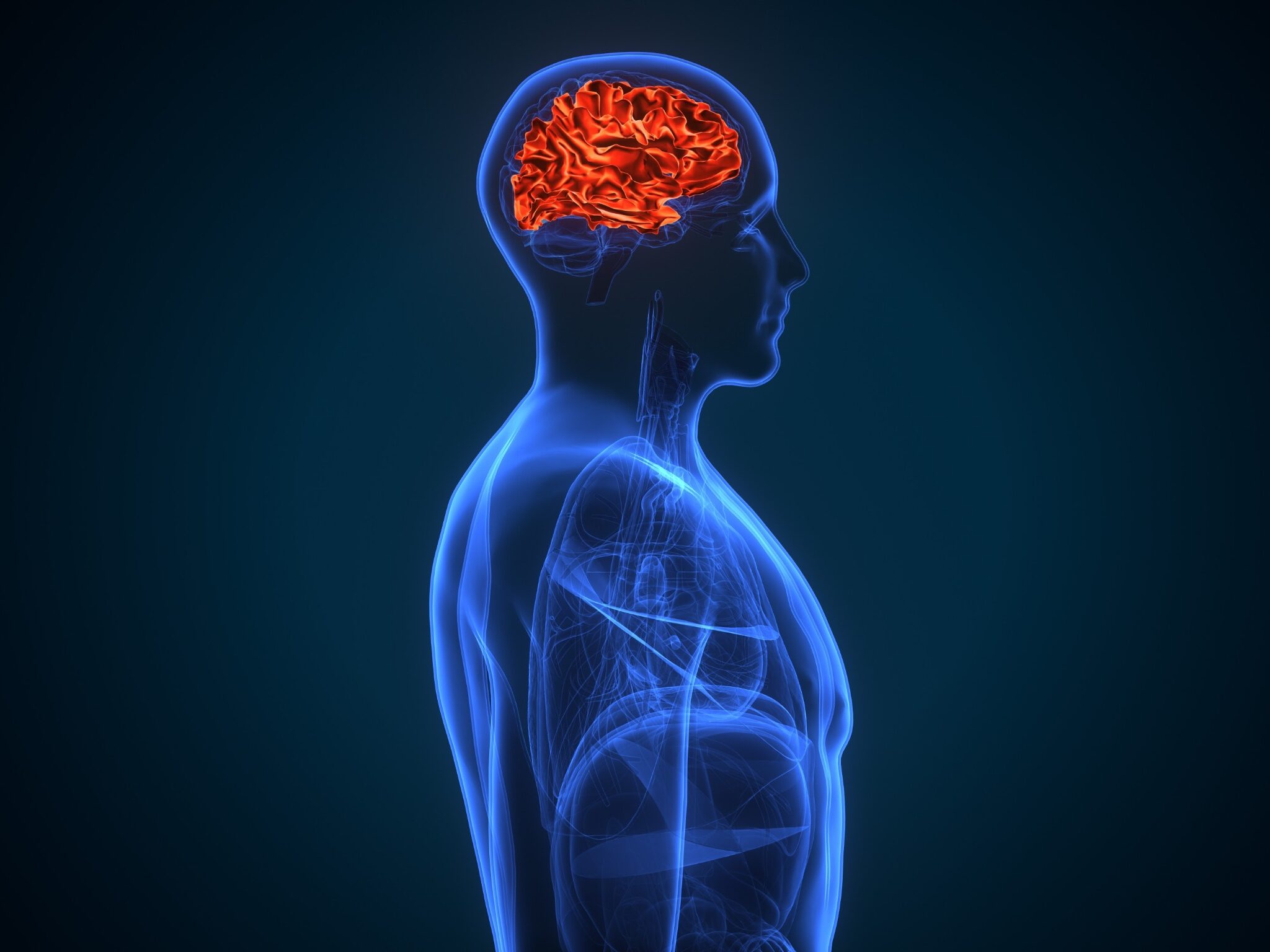 Carson City Brain Injury Lawyer
