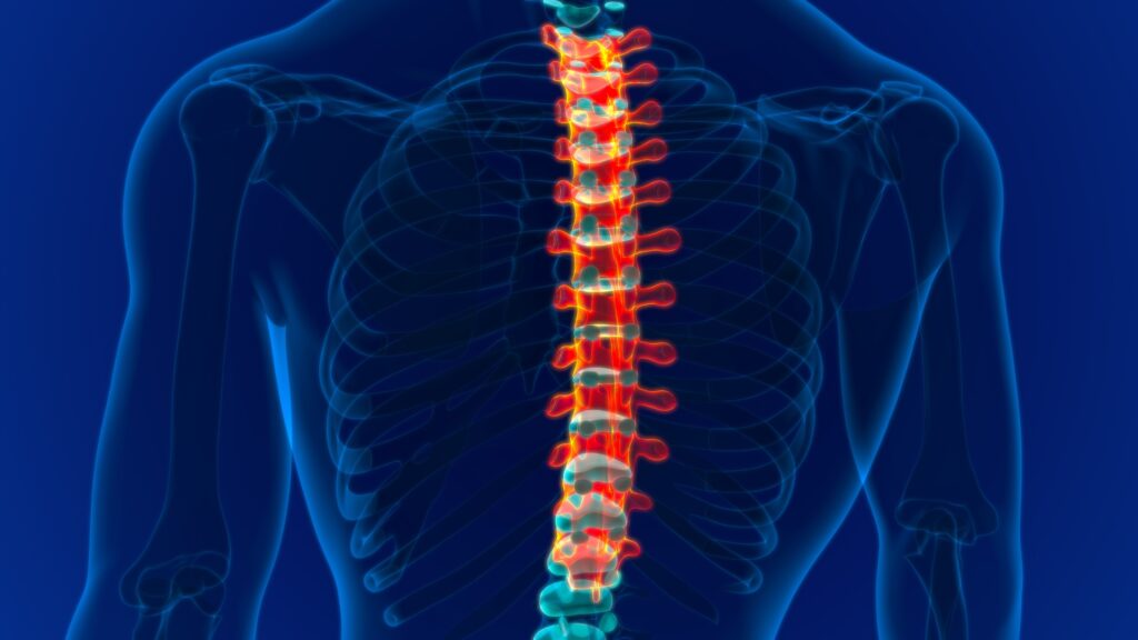 Elko Spinal Injury Lawyer