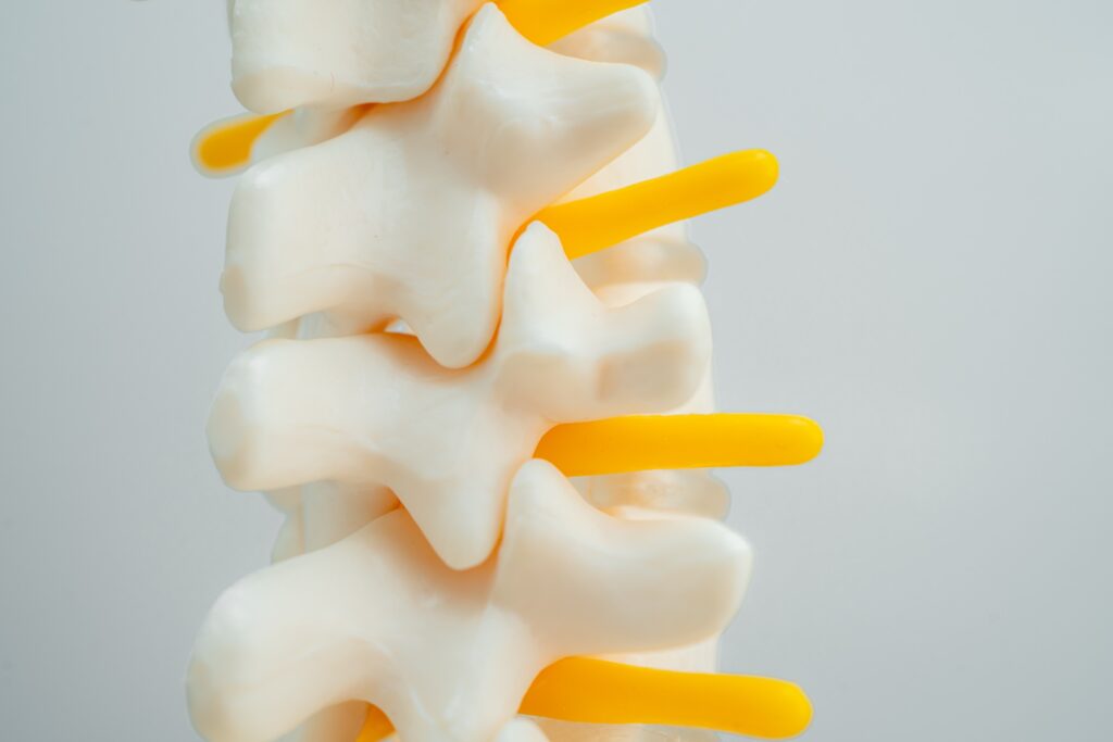Fallon Spinal Injury Lawyer