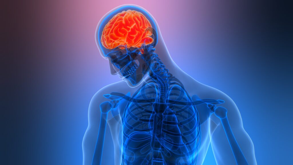 West Wendover Brain Injury Lawyer