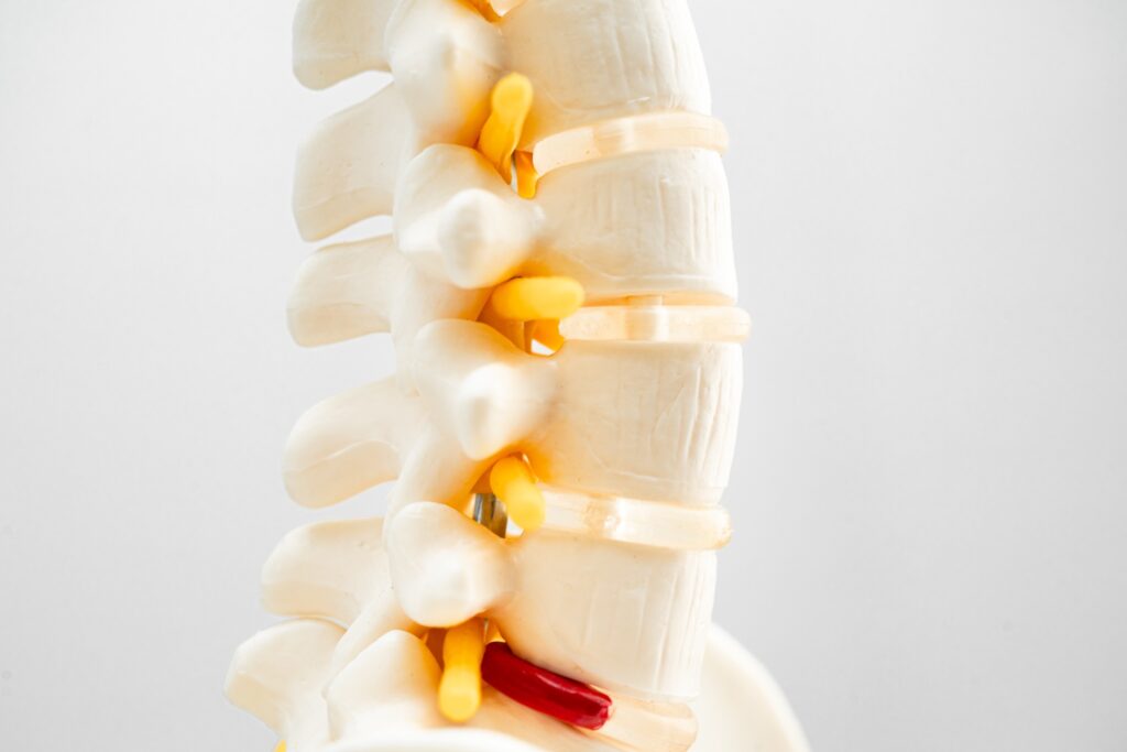 West Wendover Spinal Injury Lawyer
