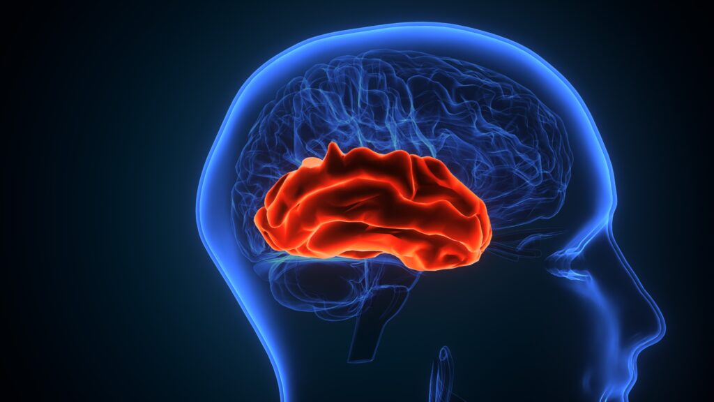Roswell Brain Injury Lawyer