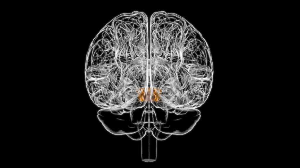 Sun Valley Brain Injury Lawyer