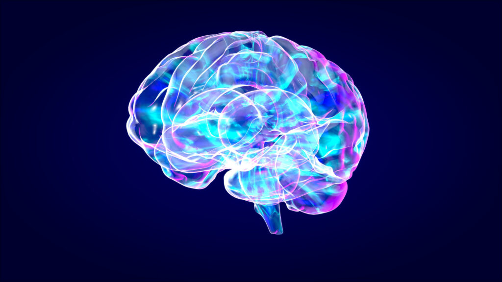 Laguna Niguel Brain Injury Lawyer 